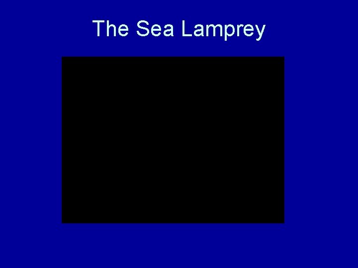 The Sea Lamprey 