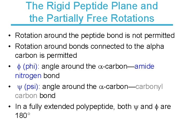 The Rigid Peptide Plane and the Partially Free Rotations • Rotation around the peptide