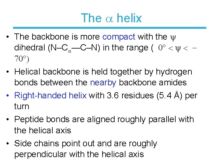 The helix • The backbone is more compact with the y dihedral (N–C —C–N)