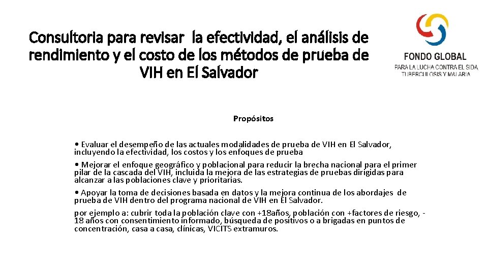 Consultoria para revisar la efectividad, el análisis de rendimiento y el costo de los