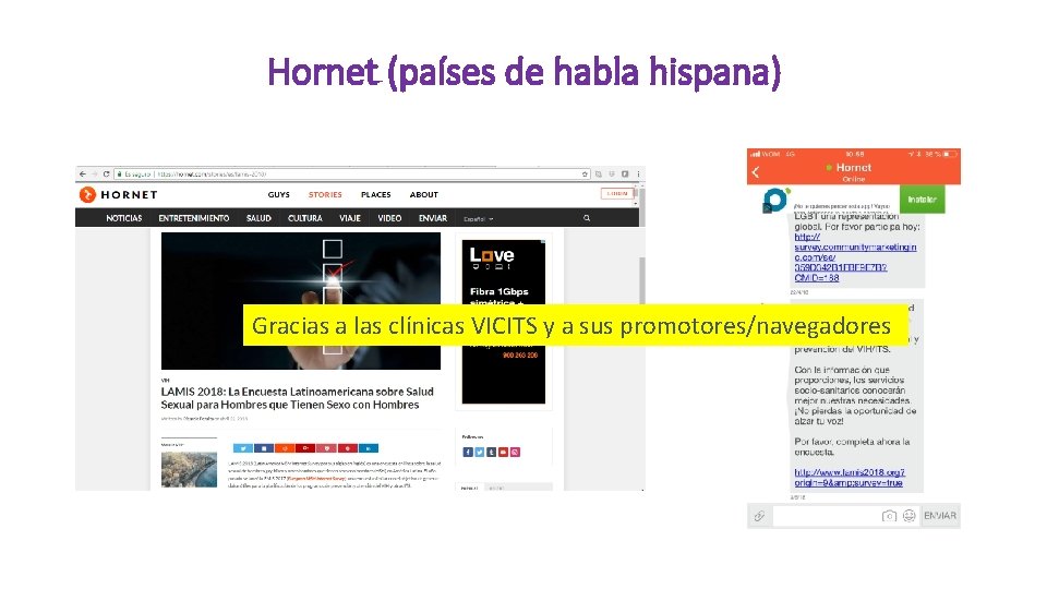 Hornet (países de habla hispana) Gracias a las clínicas VICITS y a sus promotores/navegadores