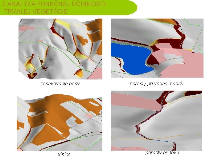 2. ANALÝZA FUNKČNEJ ÚČINNOSTI TRVALEJ VEGETÁCIE zasakovacie pásy vinice porasty pri vodnej nádrži porasty