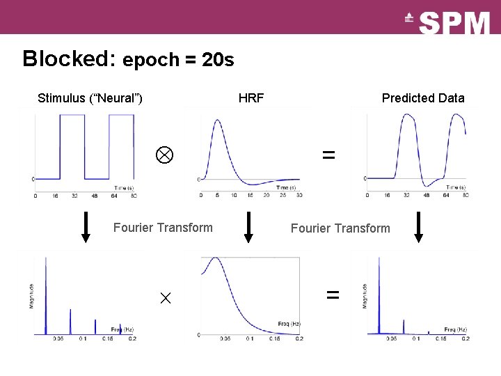 Blocked: epoch = 20 s Stimulus (“Neural”) HRF Fourier Transform Predicted Data = Fourier