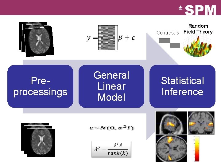 Random Contrast c Field Theory General Linear Model Preprocessings Statistical Inference 