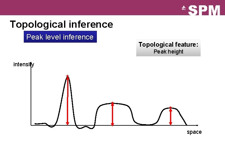 Topological inference Peak level inference Topological feature: Peak height intensity space 