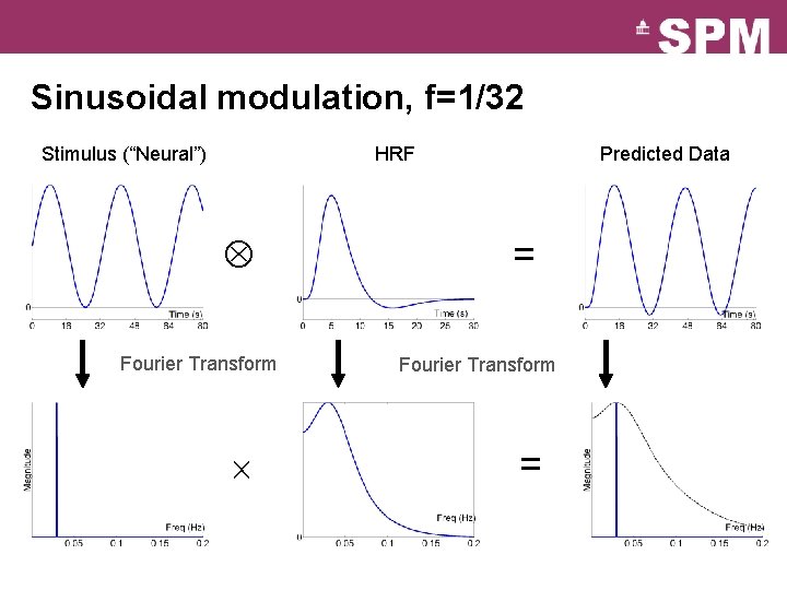 Sinusoidal modulation, f=1/32 Stimulus (“Neural”) HRF Fourier Transform Predicted Data = = Fourier Transform