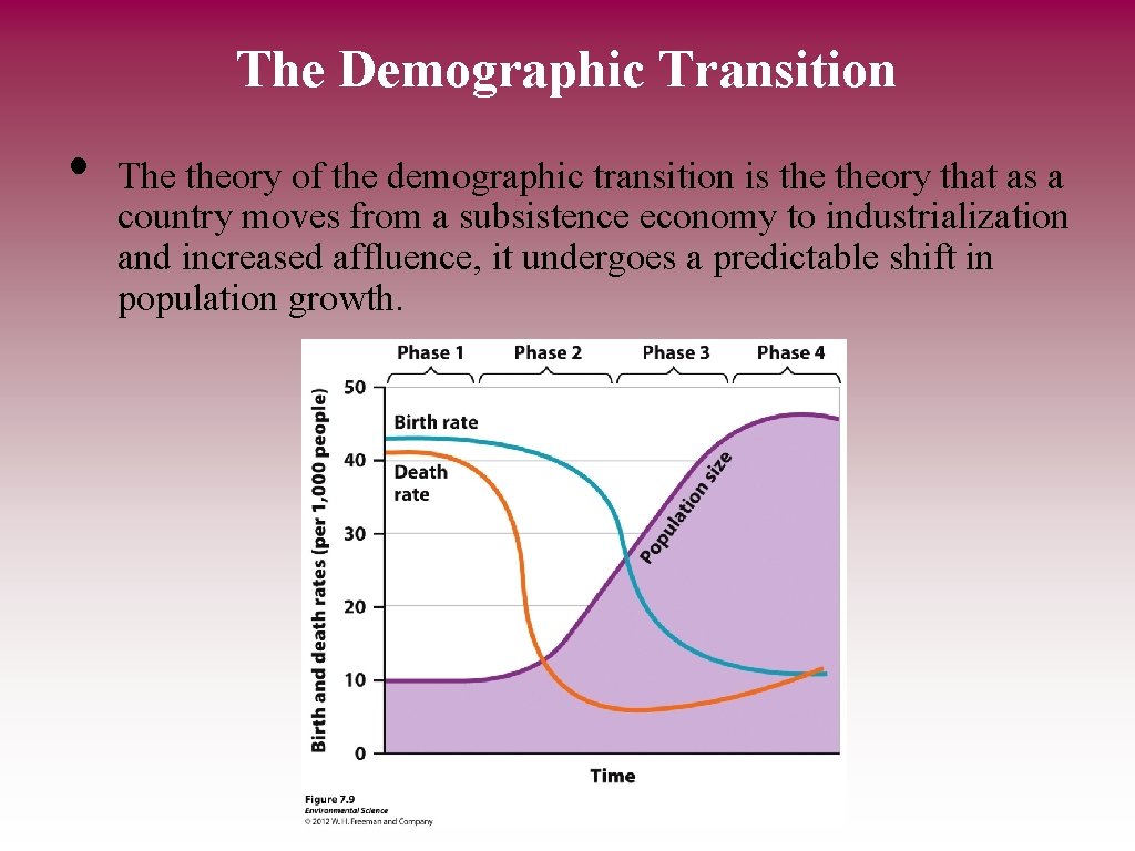 The Demographic Transition • The theory of the demographic transition is theory that as