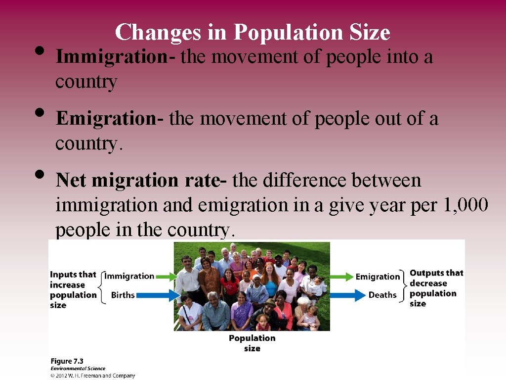 Changes in Population Size • Immigration- the movement of people into a country •