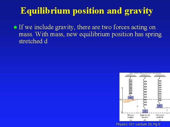 Equilibrium position and gravity l If we include gravity, there are two forces acting