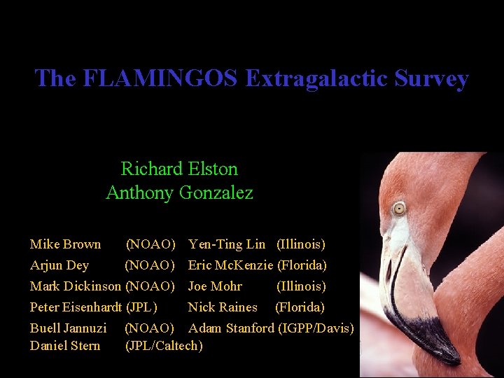 The FLAMINGOS Extragalactic Survey Richard Elston Anthony Gonzalez Mike Brown (NOAO) Yen-Ting Lin (Illinois)
