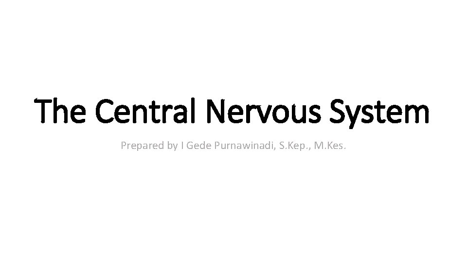 The Central Nervous System Prepared by I Gede Purnawinadi, S. Kep. , M. Kes.
