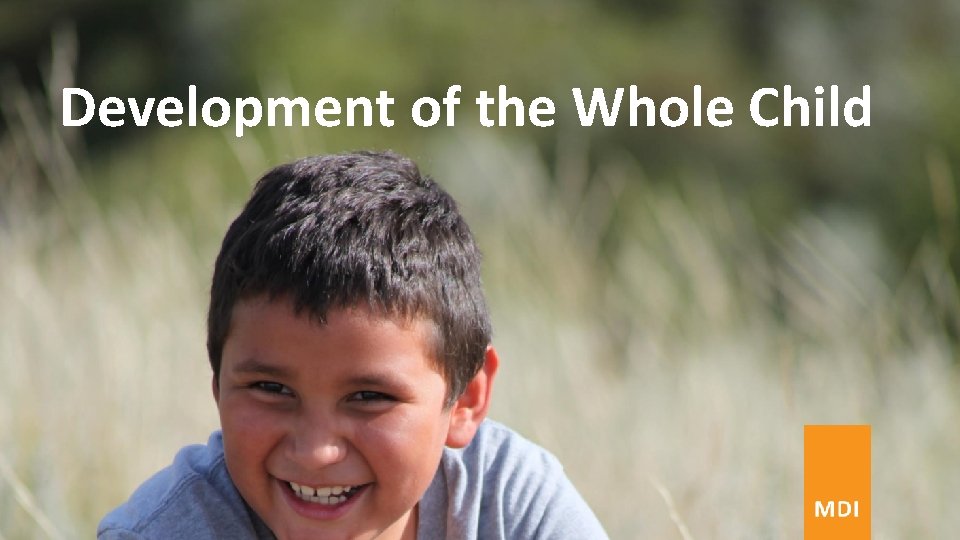 Development of the Whole Child Development of the Whole Child