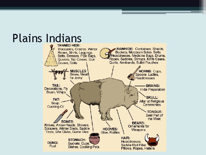 Plains Indians 