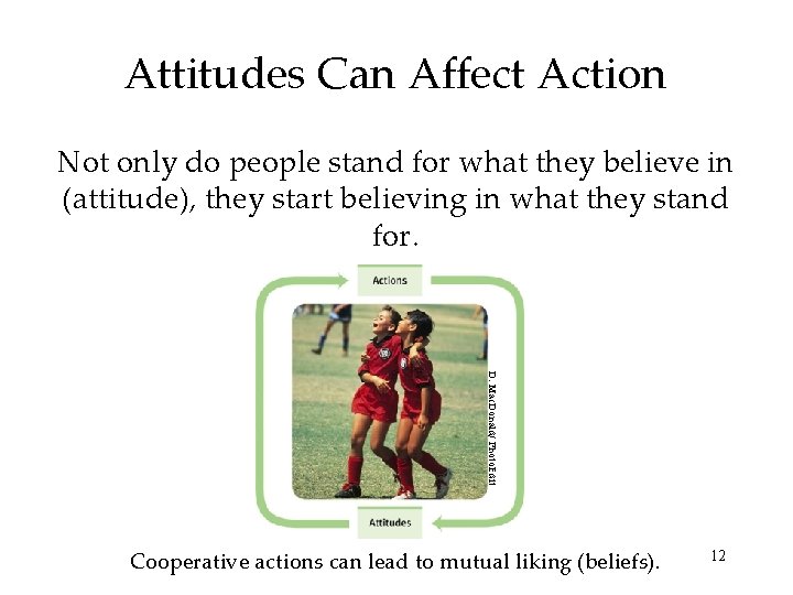 Attitudes Can Affect Action Not only do people stand for what they believe in