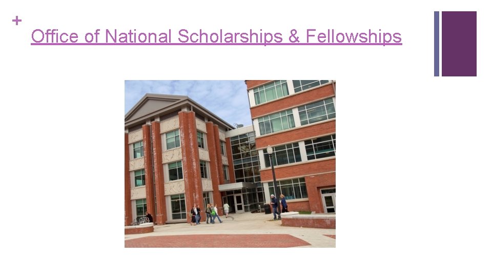 + Office of National Scholarships & Fellowships 