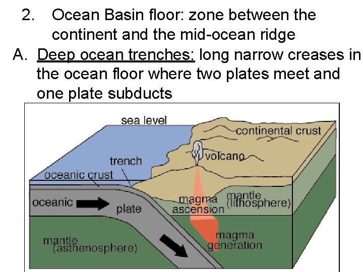 2. Ocean Basin floor: zone between the continent and the mid-ocean ridge A. Deep