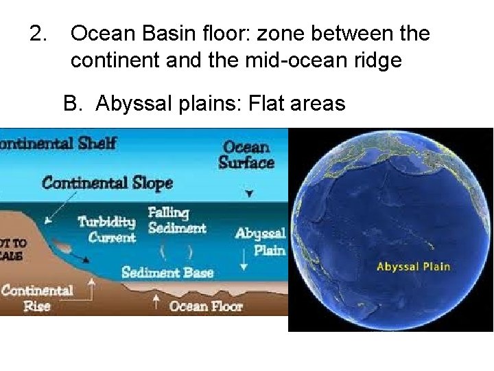 2. Ocean Basin floor: zone between the continent and the mid-ocean ridge B. Abyssal