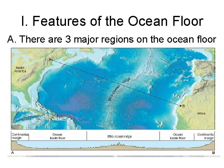 I. Features of the Ocean Floor A. There are 3 major regions on the