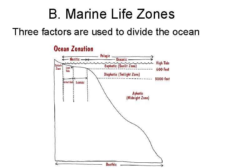 B. Marine Life Zones Three factors are used to divide the ocean 