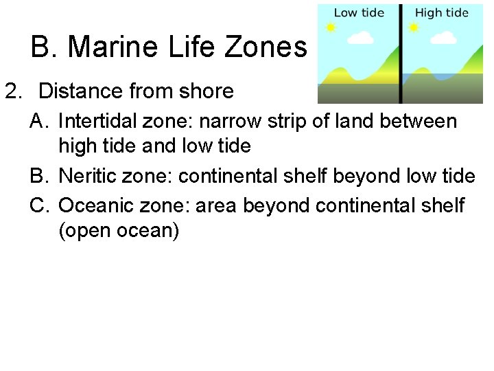 B. Marine Life Zones 2. Distance from shore A. Intertidal zone: narrow strip of
