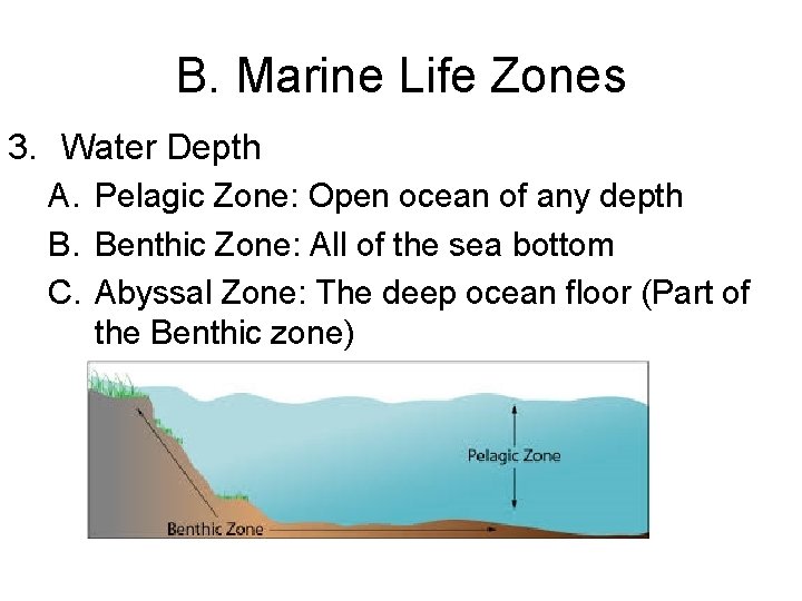 B. Marine Life Zones 3. Water Depth A. Pelagic Zone: Open ocean of any