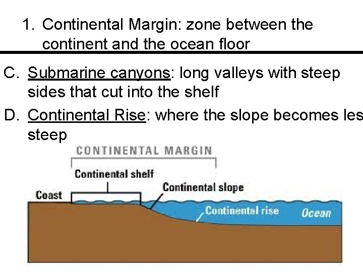 1. Continental Margin: zone between the continent and the ocean floor C. Submarine canyons: