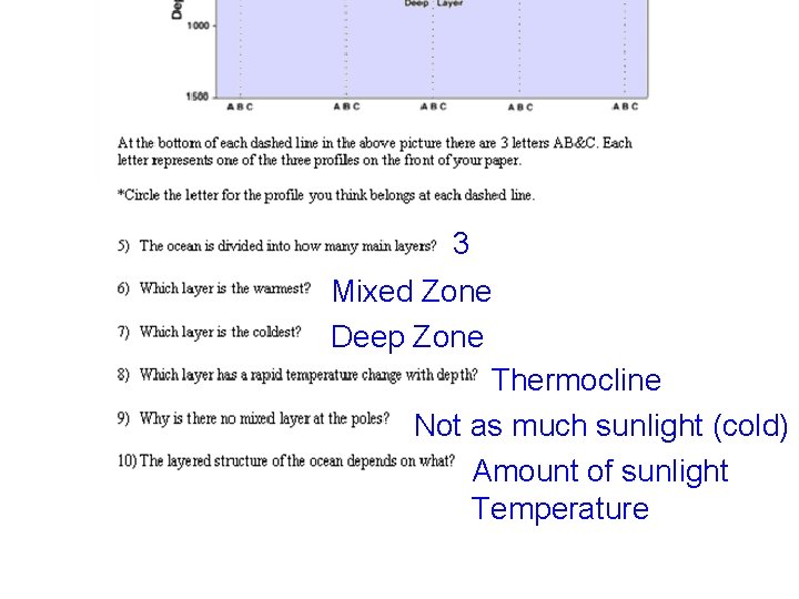 3 Mixed Zone Deep Zone Thermocline Not as much sunlight (cold) Amount of sunlight