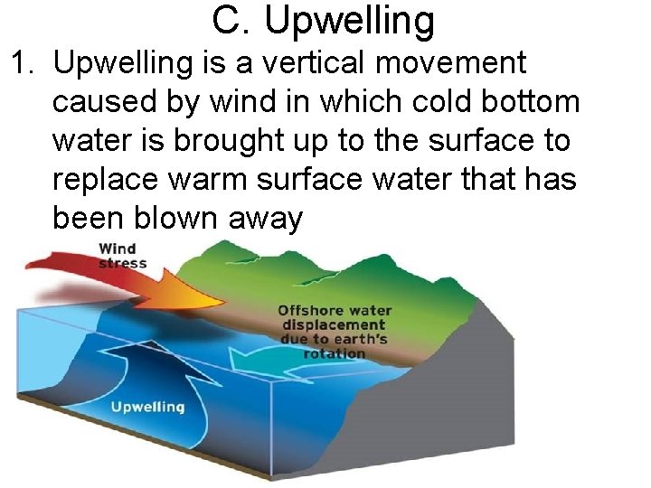 C. Upwelling 1. Upwelling is a vertical movement caused by wind in which cold