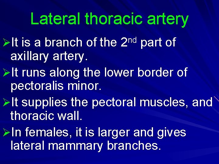 Lateral thoracic artery ØIt is a branch of the 2 nd part of axillary