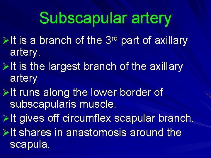 Subscapular artery ØIt is a branch of the 3 rd part of axillary artery.