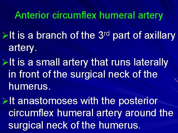 Anterior circumflex humeral artery ØIt is a branch of the 3 rd part of