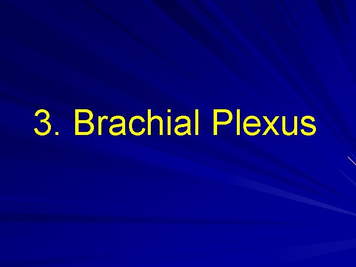 3. Brachial Plexus 