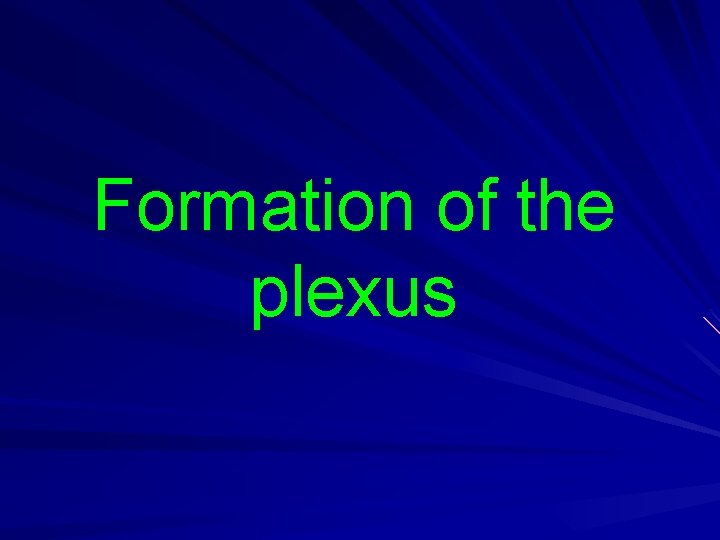 Formation of the plexus 