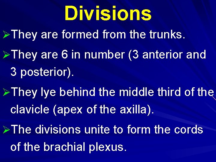 Divisions ØThey are formed from the trunks. ØThey are 6 in number (3 anterior