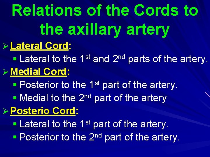 Relations of the Cords to the axillary artery Ø Lateral Cord: § Lateral to