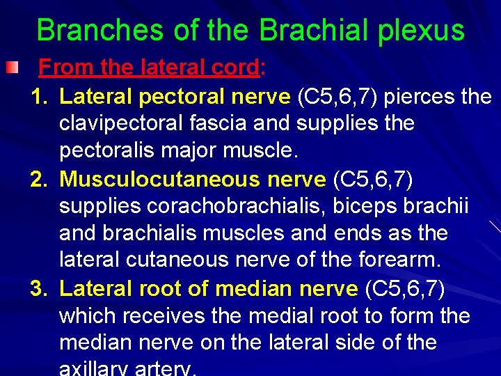 Branches of the Brachial plexus From the lateral cord: 1. Lateral pectoral nerve (C