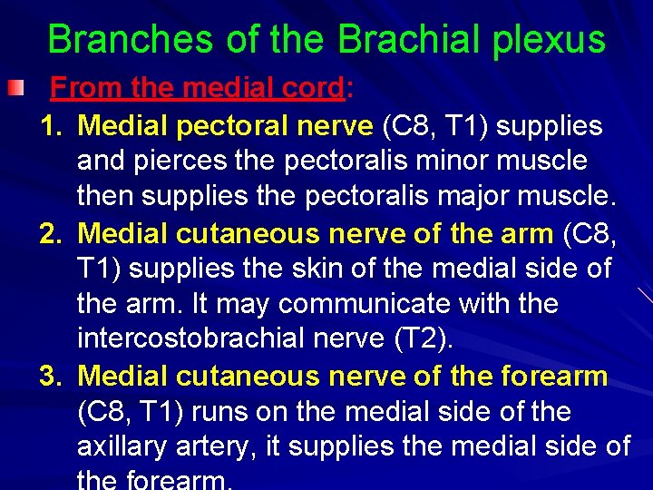 Branches of the Brachial plexus From the medial cord: 1. Medial pectoral nerve (C