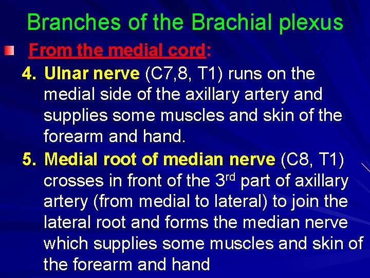 Branches of the Brachial plexus From the medial cord: 4. Ulnar nerve (C 7,