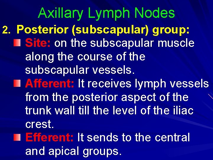 Axillary Lymph Nodes 2. Posterior (subscapular) group: Site: on the subscapular muscle along the