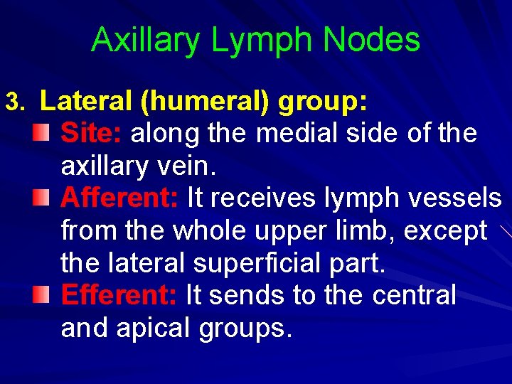 Axillary Lymph Nodes 3. Lateral (humeral) group: Site: along the medial side of the