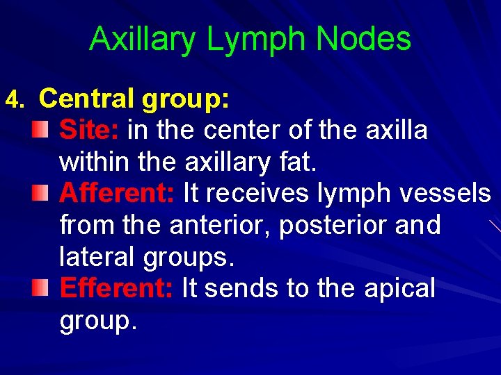 Axillary Lymph Nodes 4. Central group: Site: in the center of the axilla within