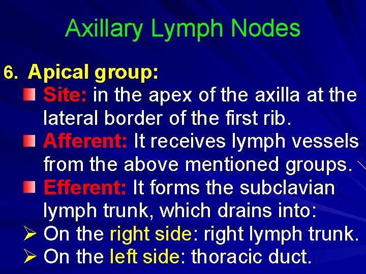 Axillary Lymph Nodes 6. Apical group: Site: in the apex of the axilla at