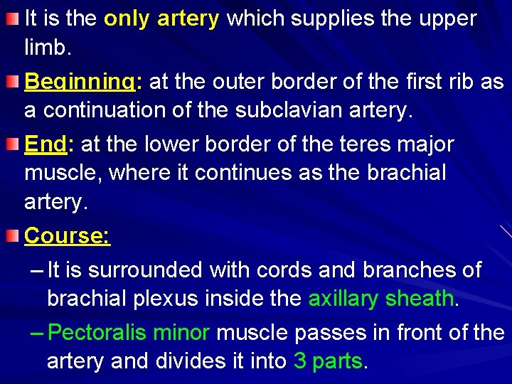 It is the only artery which supplies the upper limb. Beginning: at the outer