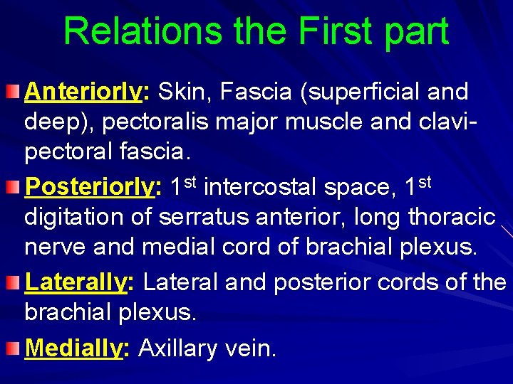 Relations the First part Anteriorly: Skin, Fascia (superficial and deep), pectoralis major muscle and