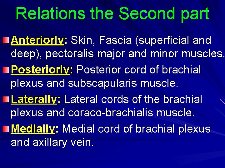 Relations the Second part Anteriorly: Skin, Fascia (superficial and deep), pectoralis major and minor