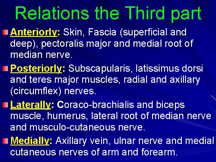 Relations the Third part Anteriorly: Skin, Fascia (superficial and deep), pectoralis major and medial