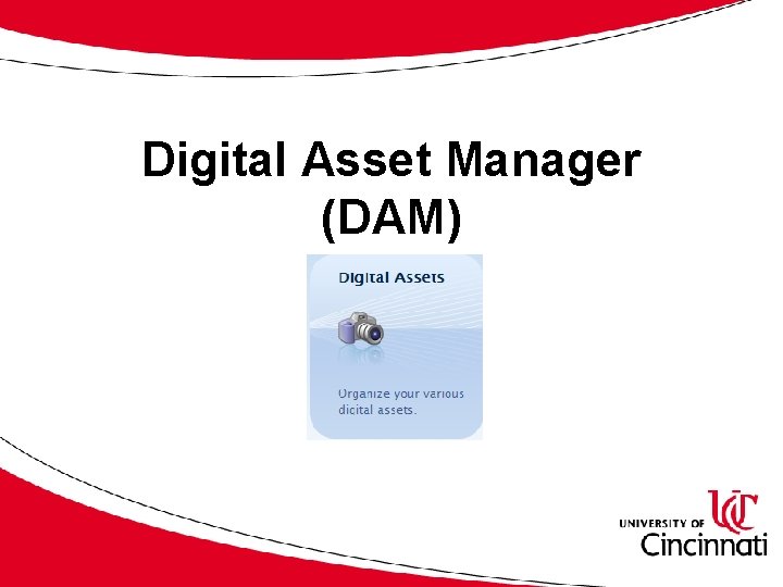 Digital Asset Manager (DAM) 