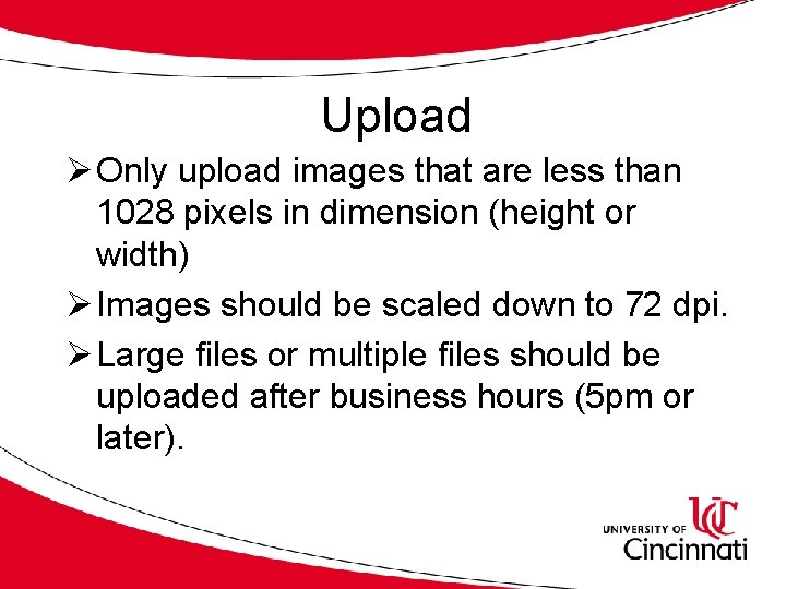 Upload Ø Only upload images that are less than 1028 pixels in dimension (height