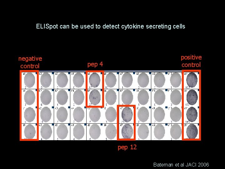 ELISpot can be used to detect cytokine secreting cells negative control positive control pep