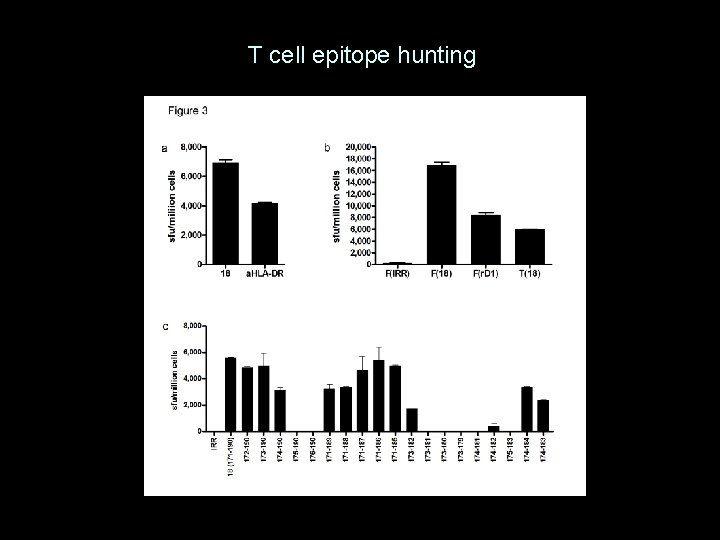 T cell epitope hunting 